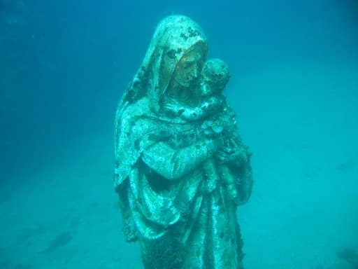 stella maris