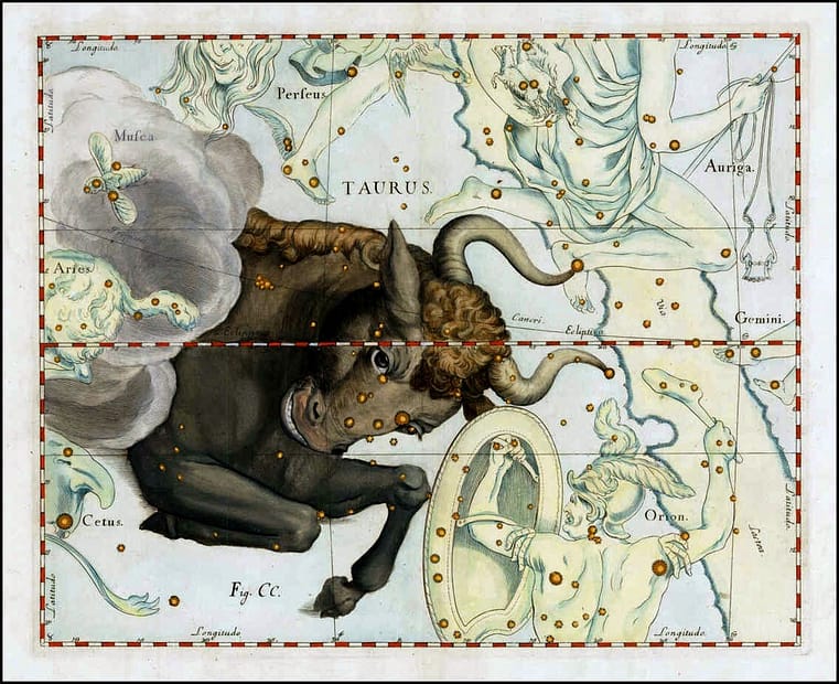 Segno Zodiacale del Toro 1